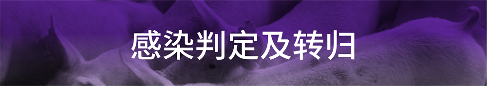 1625280342929711.png 01.png