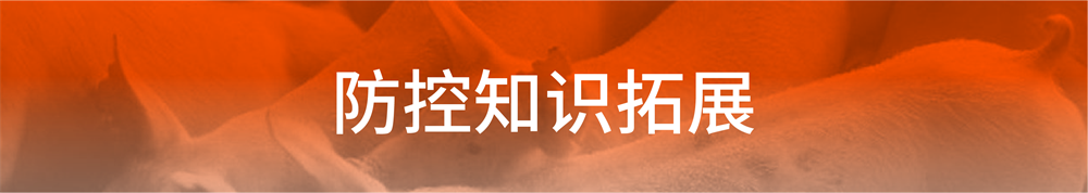 16.png
