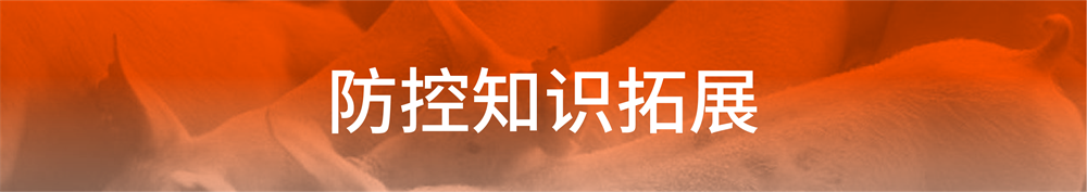 1625283041445533.png 10.png