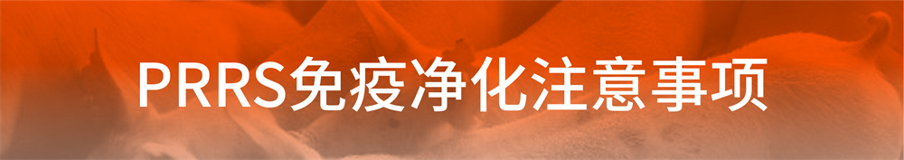 1625283793871653.png 04.png