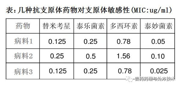 微信图片_34.jpg