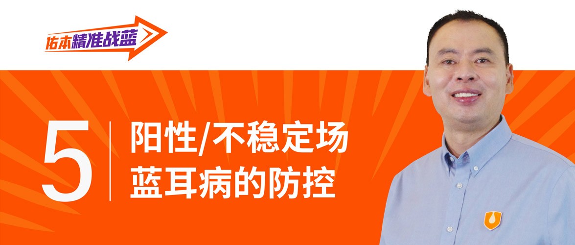 中国养猪网